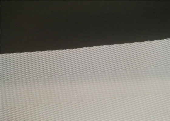 Filter Press Polyester Sludge Dewatering Mesh For Coconut Juice Squeezing