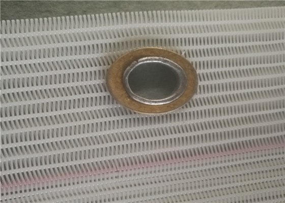 3cm Plastic Edge Polyester Spiral Belt For Wrapping Paper