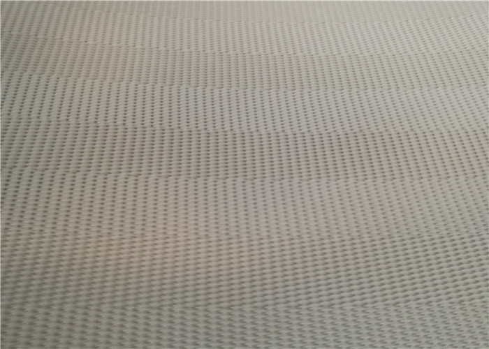 Document die Perssgs de Ontwaterende Riem van de Polyestermodder maken