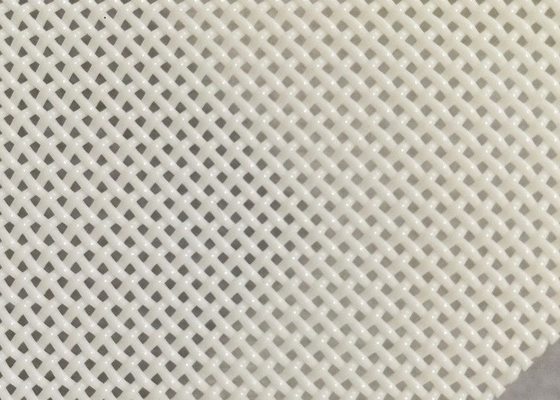 1x1mm van de Polyestermesh belt square hole for van de Gatengrootte Drogend de Vissenvoedsel