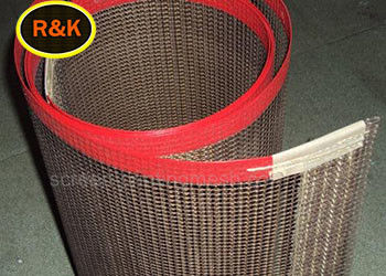 De  bedekte 4*4mm Droog Voedsel Ptfe Mesh Belt met een laag
