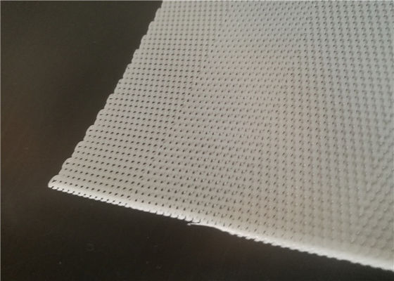 De Polyestermodder die van de filterpers Mesh For Coconut Juice Squeezing ontwateren