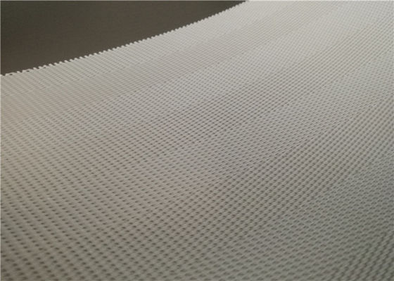 Polyester Mesh Roller Sludge Dewatering Belt voor Document die Pers maken