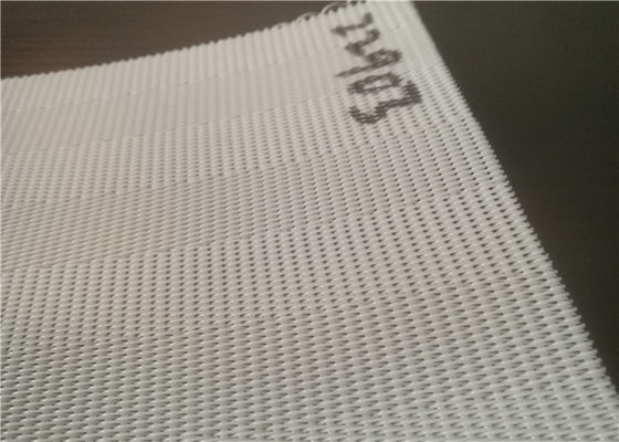 Blauwe Witte PolyesterTransportband voor de Pers van de Modderfilter