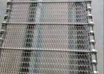 201 het roestvrije Monofilament Drogen van Staalmesh conveyor belt braided conveyor