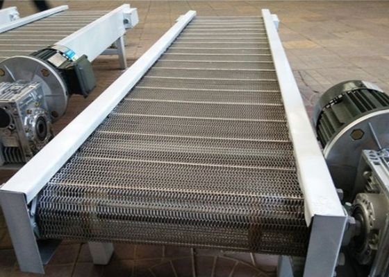 201 de KettingsTransportband van roestvrij staal Schoonmakende Groenten